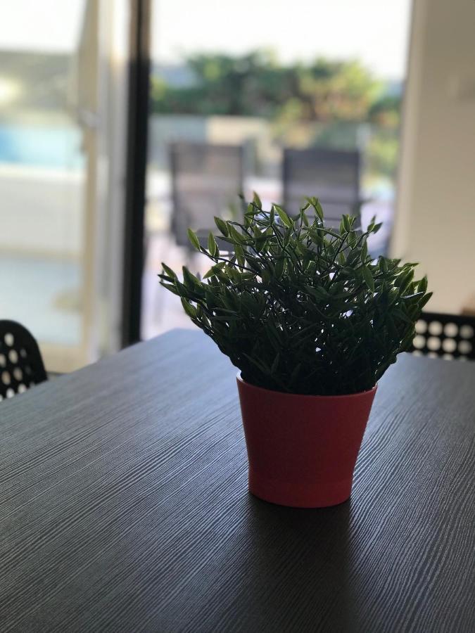 Apartments Haramincic M&B 斯塔拉诺瓦利亚 外观 照片